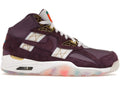 Nike Air Trainer SC High Atlanta Olympics 30th Anniversary